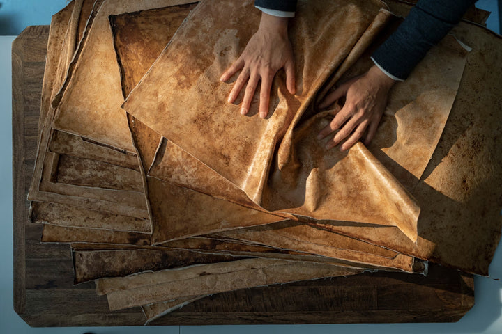 Mushroom Leather: The Future of Vegan Leather?